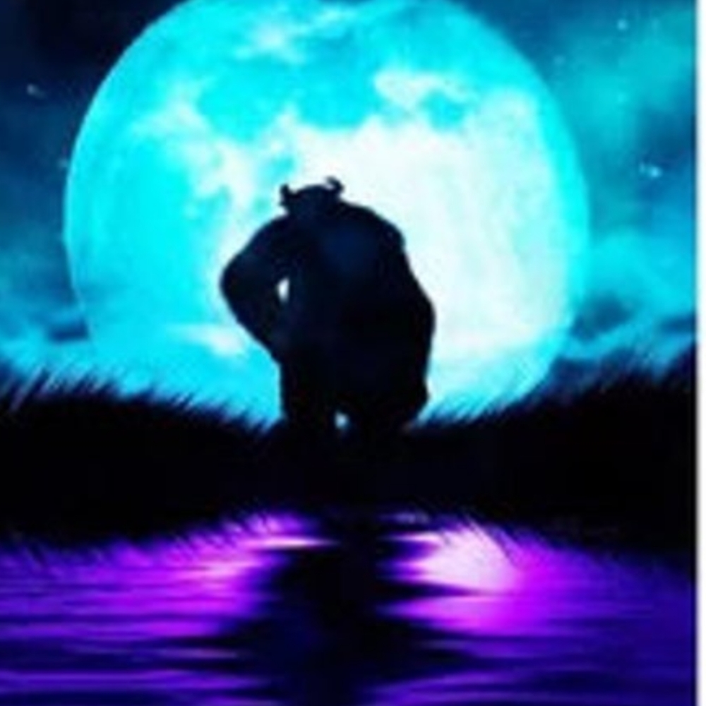 Custom art anyway, any style. $2 to $500.